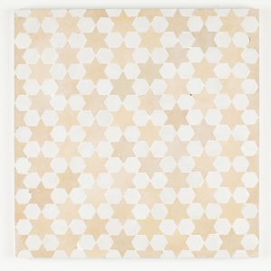 Sale Mosaic Tile - Snow is Hex and Clay is Star