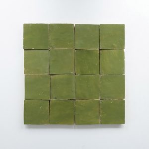 4x4 Zellige Tile - Fern